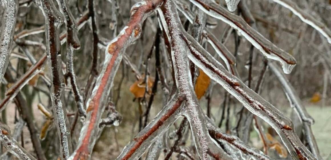 Вінницькі синоптики попереджають про І рівень небезпеки