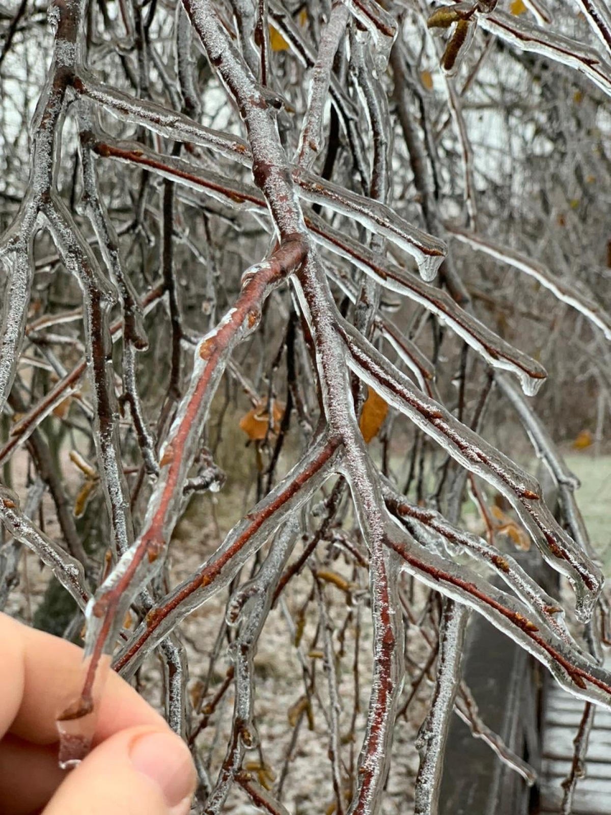 Вінницькі синоптики попереджають про І рівень небезпечності