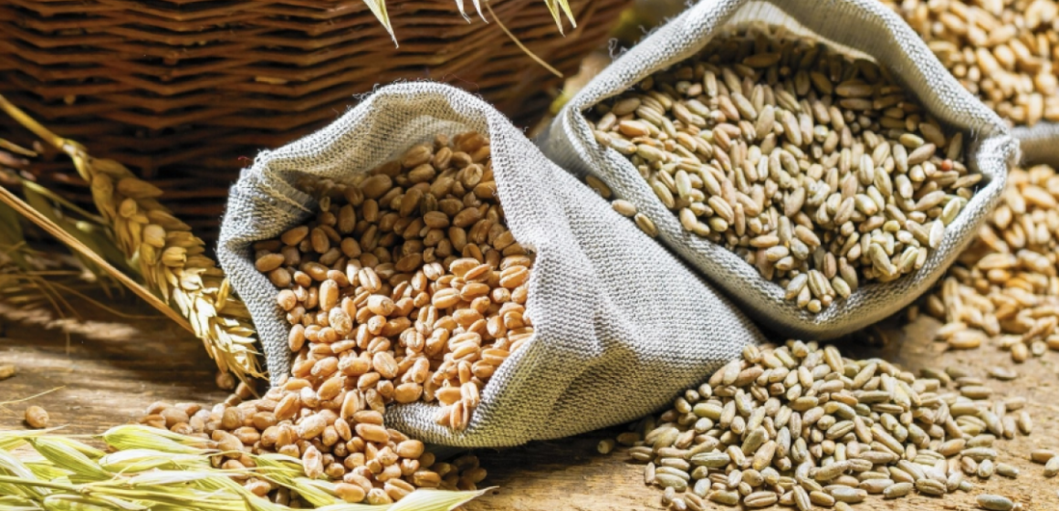 Вінницькі аграрії підбивають підсумки жнив: урожай тішить