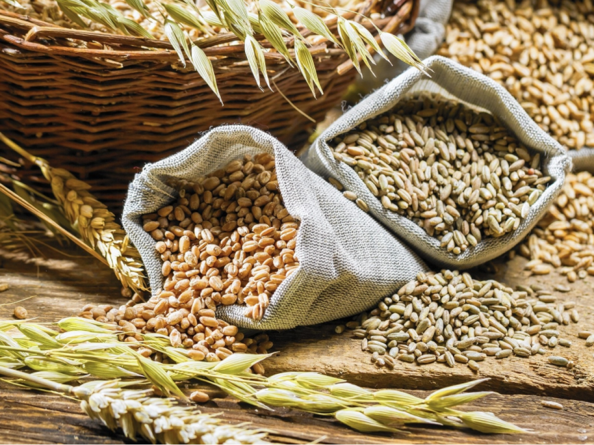 Вінницькі аграрії підбивають підсумки жнив: урожай тішить