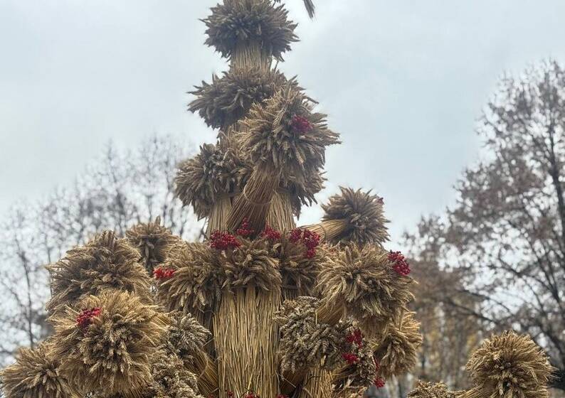 У центрі Вінниці встановили чотириметровий різдвяний дідух
