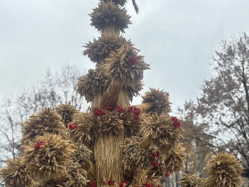 У центрі Вінниці встановили чотириметровий різдвяний дідух