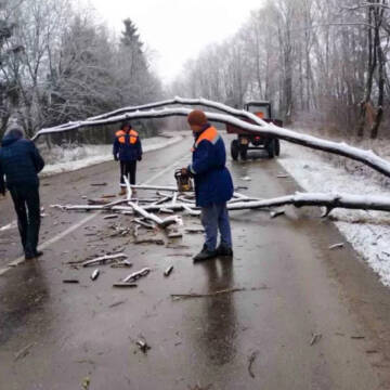 На Вінниччині вночі сильний вітер повалив дерева