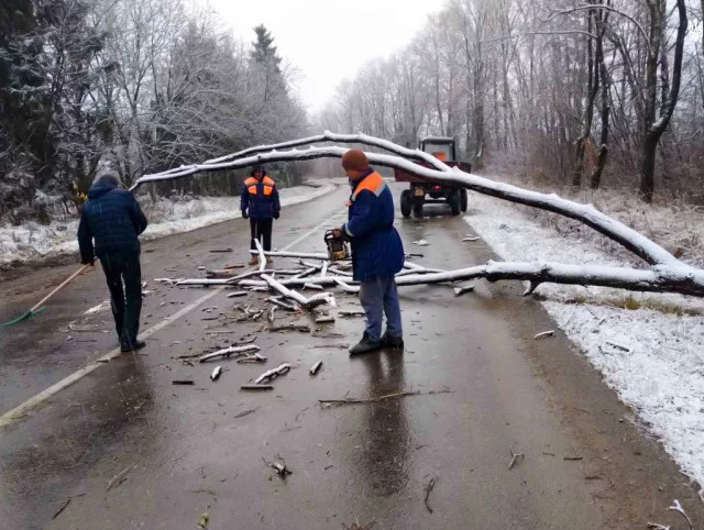 На Вінниччині вночі сильний вітер повалив дерева
