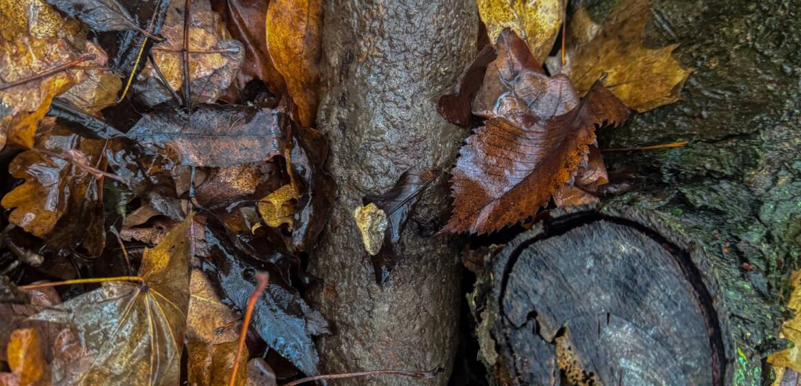 593270976_1329248719214681_1916497156069995228_n На Вінниччині сапери знищили артснаряд часів Другої світової