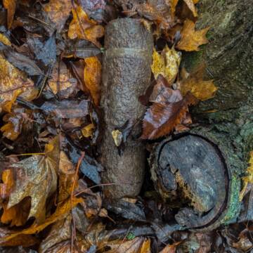 На Вінниччині сапери знищили артснаряд часів Другої світової