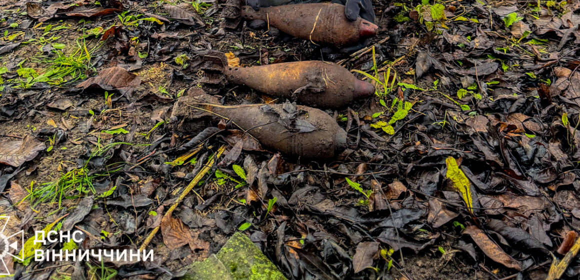 На Вінниччині знищили боєприпаси Другої світової війни