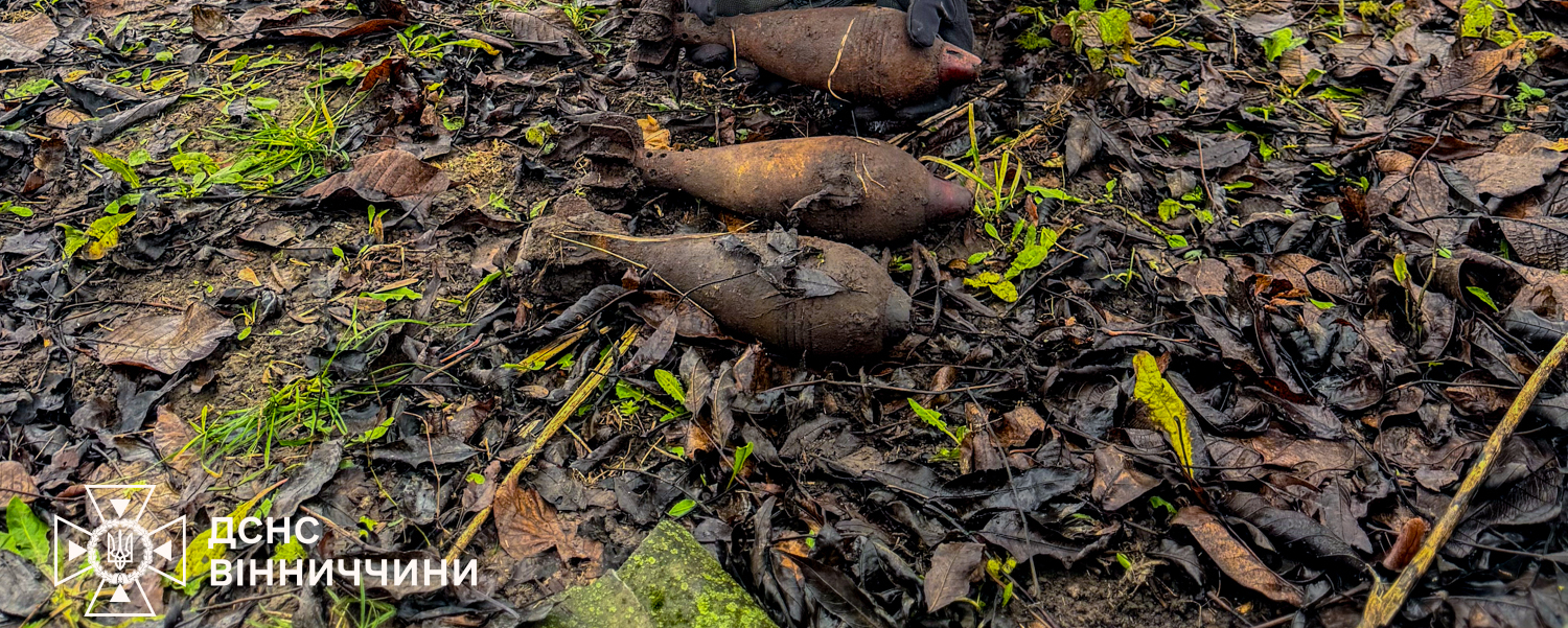 На Вінниччині знищили боєприпаси Другої світової війни