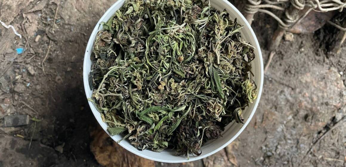 595751622_1270735725089489_770667073584023694_n На Вінниччині у чоловіка вилучили коноплі