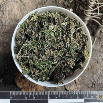 595751622_1270735725089489_770667073584023694_n На Вінниччині у чоловіка вилучили коноплі