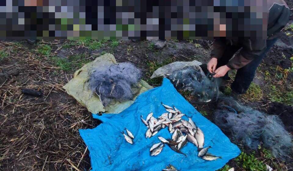 597869420_1173974091590638_259770967830371206_n На Вінниччині браконьєри незаконно виловили 5 кілограмів риби