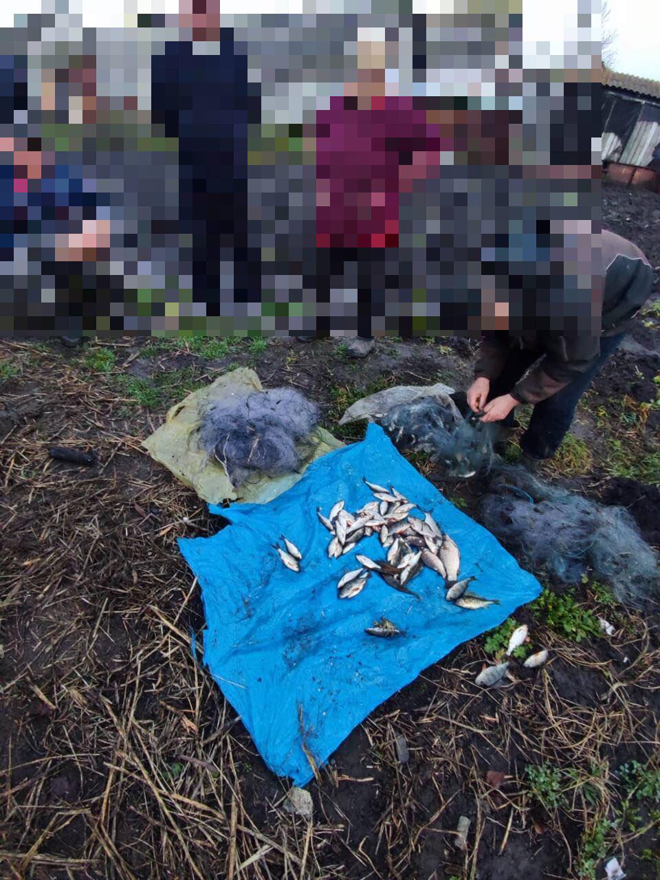 На Вінниччині браконьєри незаконно виловили 5 кілограмів риби