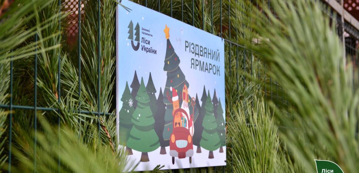 Лісівники Центральної України продали понад 12 тисяч різдвяних ялинок