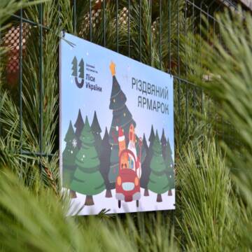 600275699_859409420388682_7784435772624467514_n Лісівники Центральної України продали понад 12 тисяч різдвяних ялинок