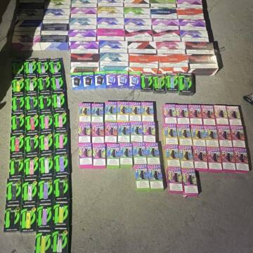 Схованки під капотом та в обшивці: вінницькі митники вилучили партію «електронок»