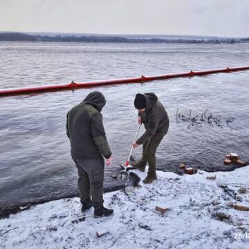 Загибелі риби у Ладижинському водосховищі не виявили