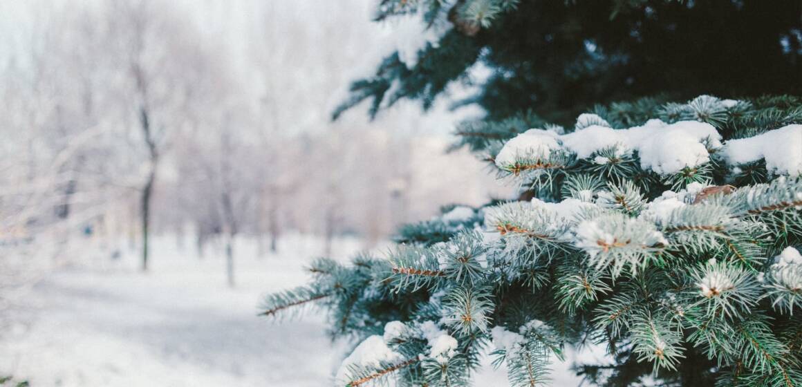 ad4dji---c1920x1080x50px50p-up--312e4b0b6b8999c24d606d7b86310767 Якою буде погода на Вінниччині 30 грудня