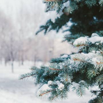 ad4dji---c1920x1080x50px50p-up--312e4b0b6b8999c24d606d7b86310767 Якою буде погода на Вінниччині 30 грудня