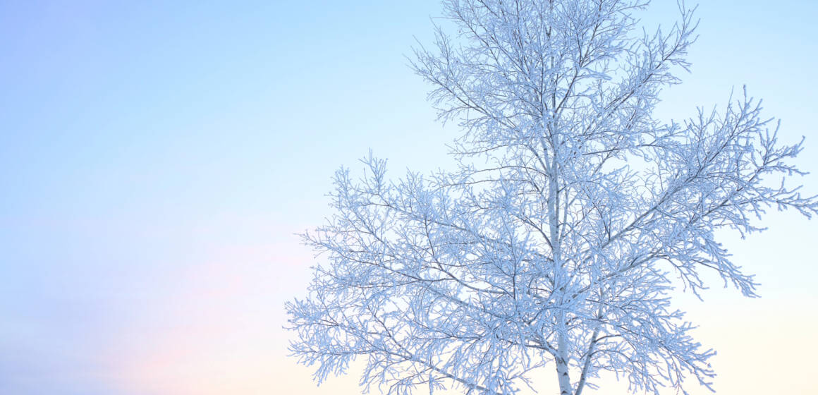 depositphotos_642273308_l Гороскоп на 13 грудня 2025 року для усіх знаків зодіаку