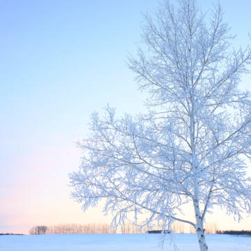 depositphotos_642273308_l Гороскоп на 13 грудня 2025 року для усіх знаків зодіаку