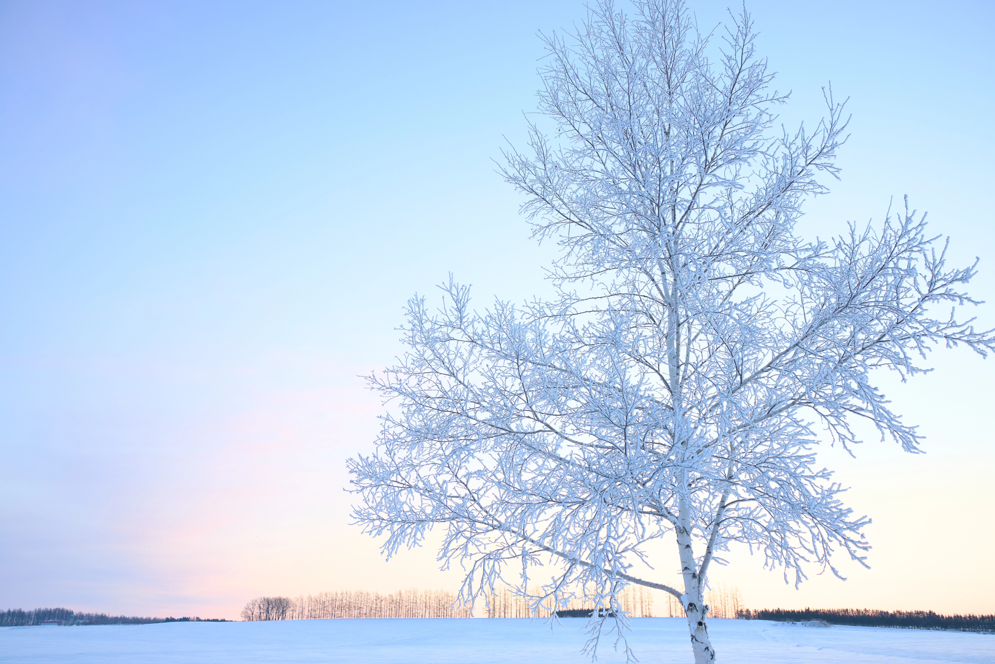 Гороскоп на 13 грудня 2025 року для усіх знаків зодіаку