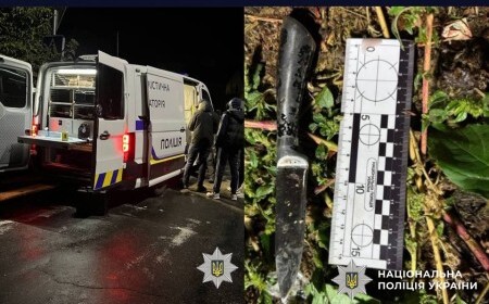 За смертельний удар ножем вінничанина засудили до 10 років позбавлення волі