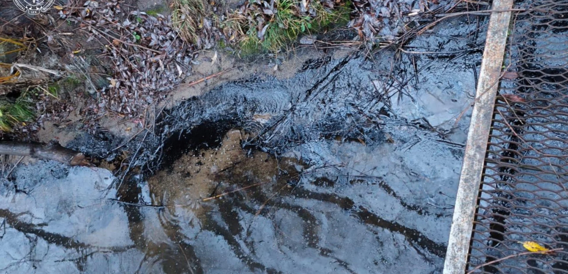 ladyzhynske-vodoskhovyshche-zabrudnene-mazutom-tryvaye-rozsliduvannya Біля Ладижинської ТЕС зафіксували викид мазуту в Південний Буг