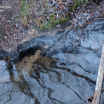 Біля Ладижинської ТЕС зафіксували викид мазуту в Південний Буг