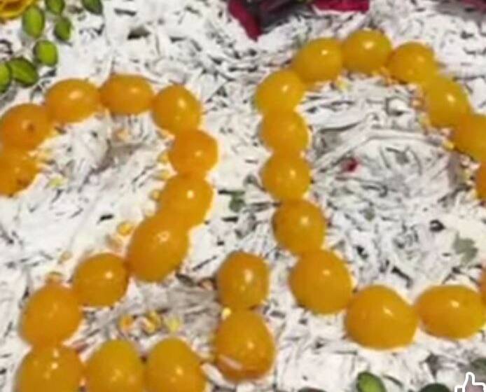 photo_5343612350944185795_y Ювілей Подільського зоопарку відзначатимуть із 30-кілограмовим тортом