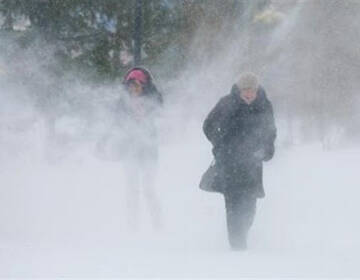 Завтра вінничан турбуватиме мороз, хутровини та ожеледиця