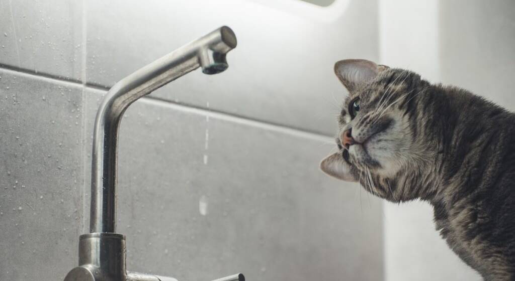 Кому запасатися водою, розповіли у Вінницяоблводоканалі