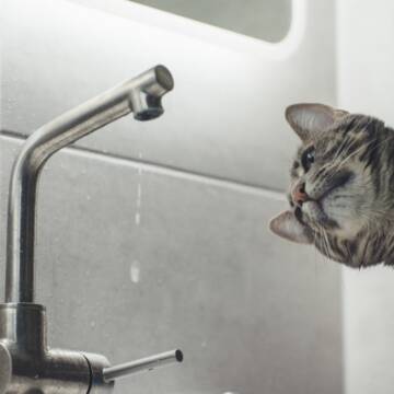 Кому запасатися водою, розповіли у Вінницяоблводоканалі