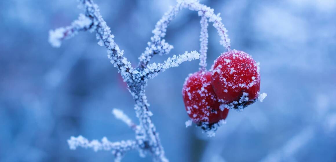 На Вінниччині 24–25 грудня очікується значне похолодання