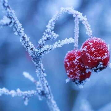 yr7ix4---c1920x1080x50px50p-up--d376e46735a369de685cceea54a96f1f На Вінниччині 24–25 грудня очікується значне похолодання