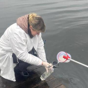 Ситуація на Ладижинській ТЕС: триває моніторинг якості води