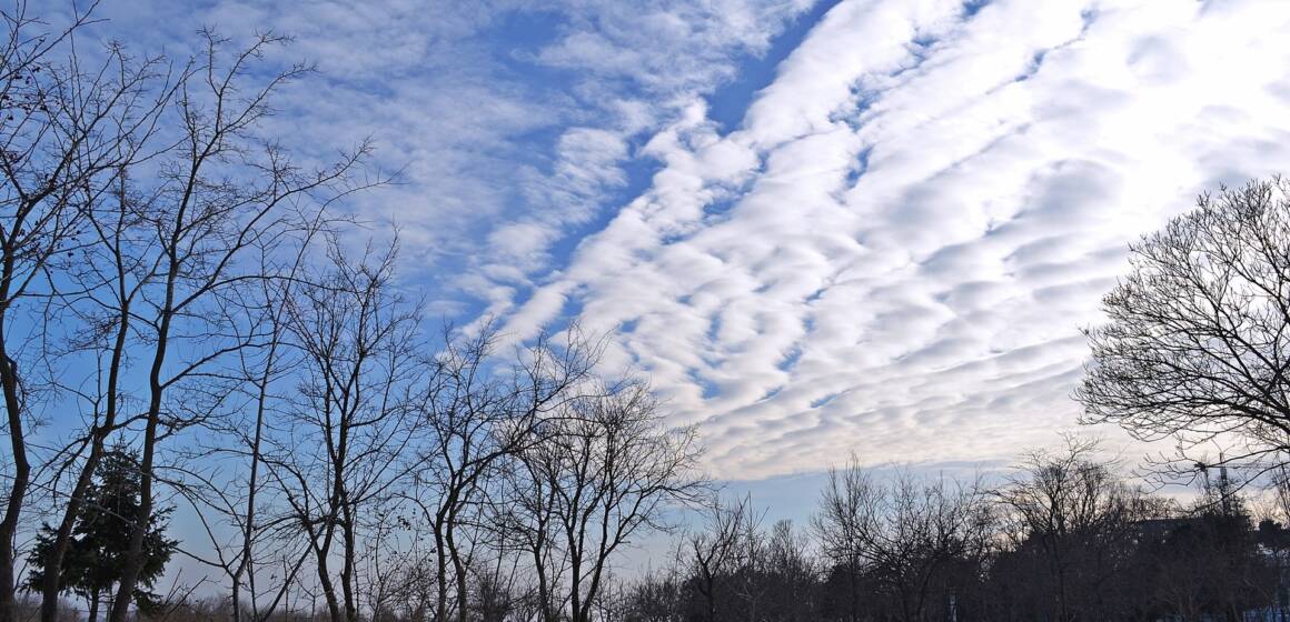 Якою буде погода на Вінниччині 19 грудня