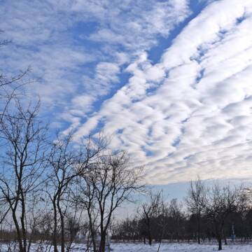 Якою буде погода на Вінниччині 19 грудня