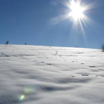 Сонце_в_зеніті Захист від сонця взимку: чому він важливий та як його правильно підібрати