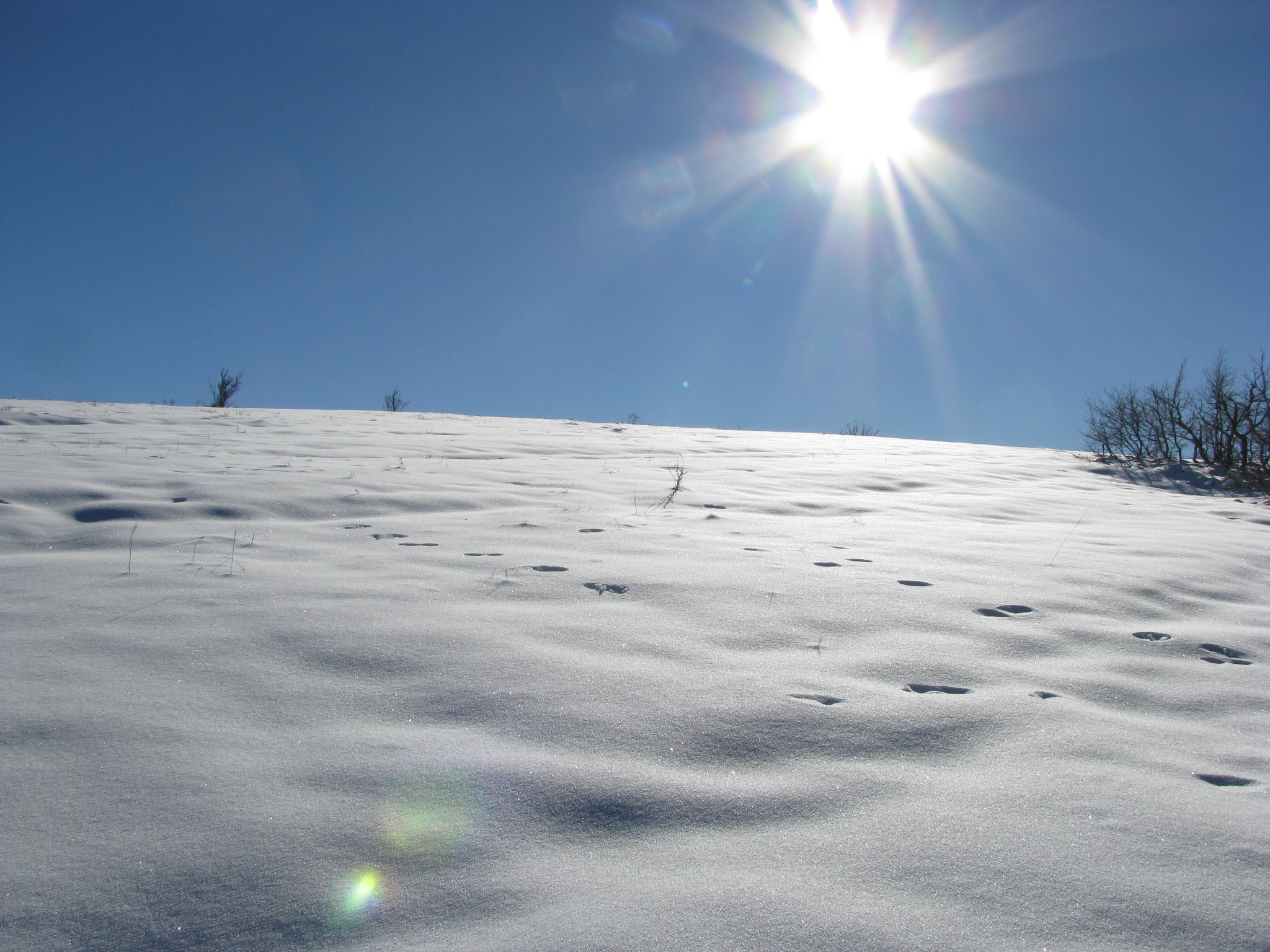 Захист від сонця взимку: чому він важливий та як його правильно підібрати