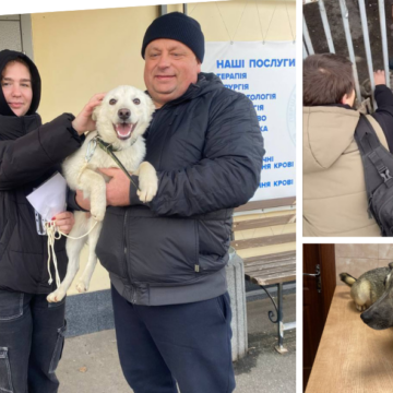 У Вінниці ще дві собаки з муніципального притулку для тварин знайшли нових господарів