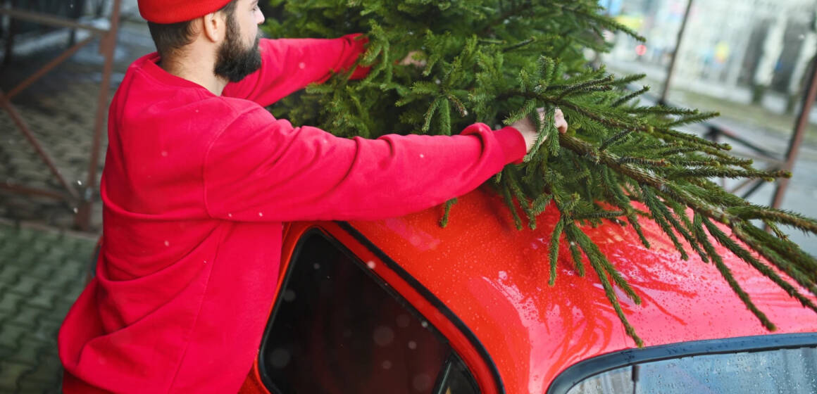 Як безпечно та без штрафів перевезти ялинку в автомобілі