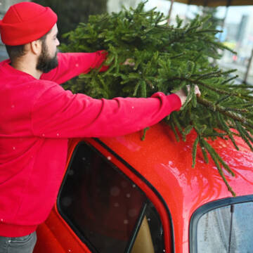 Як безпечно та без штрафів перевезти ялинку в автомобілі