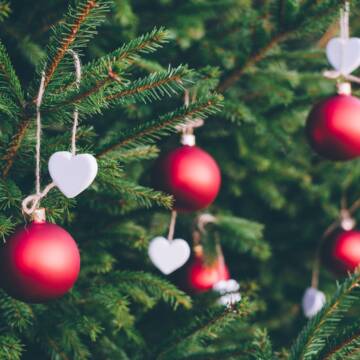 Понад 25 тисяч новорічних дерев продали на різдвяних ярмарках