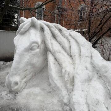 Митець з Гайсина створив скульптуру велетенського коня зі снігу (фото)