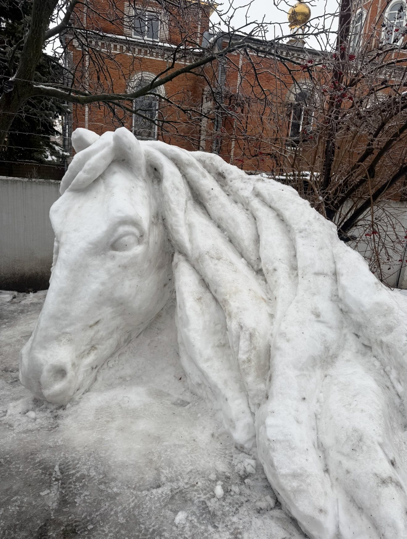 Митець з Гайсина створив скульптуру велетенського коня зі снігу (фото)