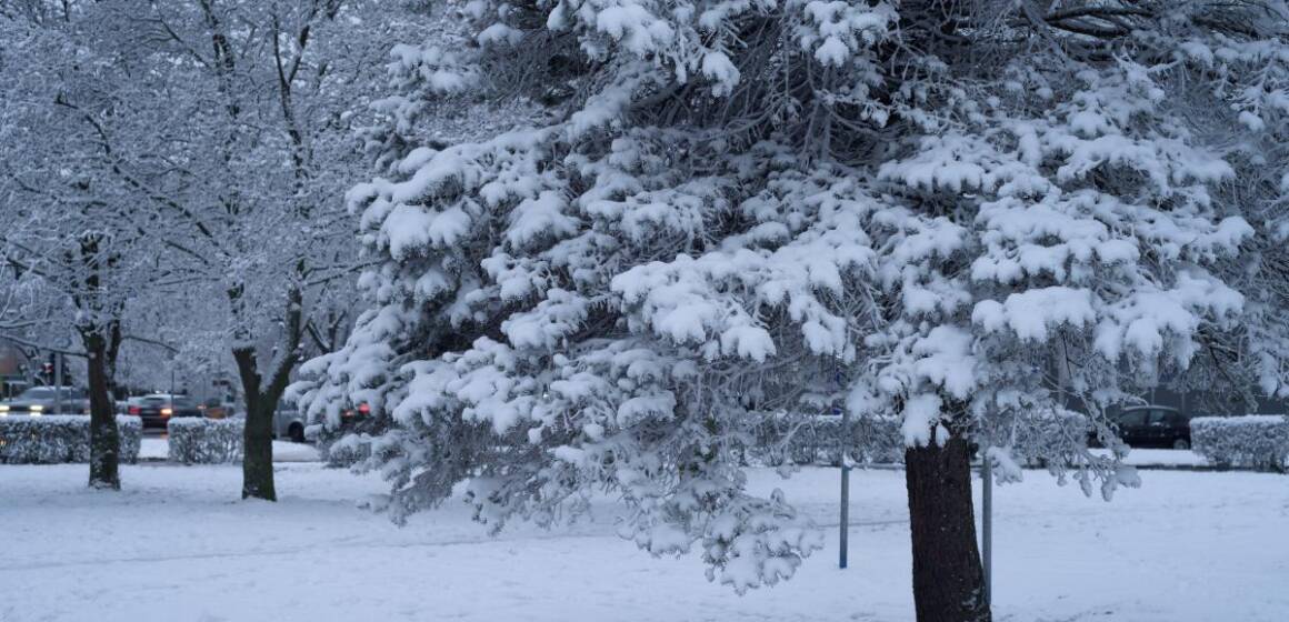 На Вінниччині прогнозують мороз та ожеледицю: погода на 12 січня