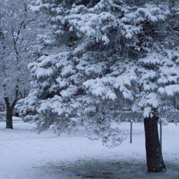У Вінниччині прогнозують мороз та ожеледицю: погода на 12 січня