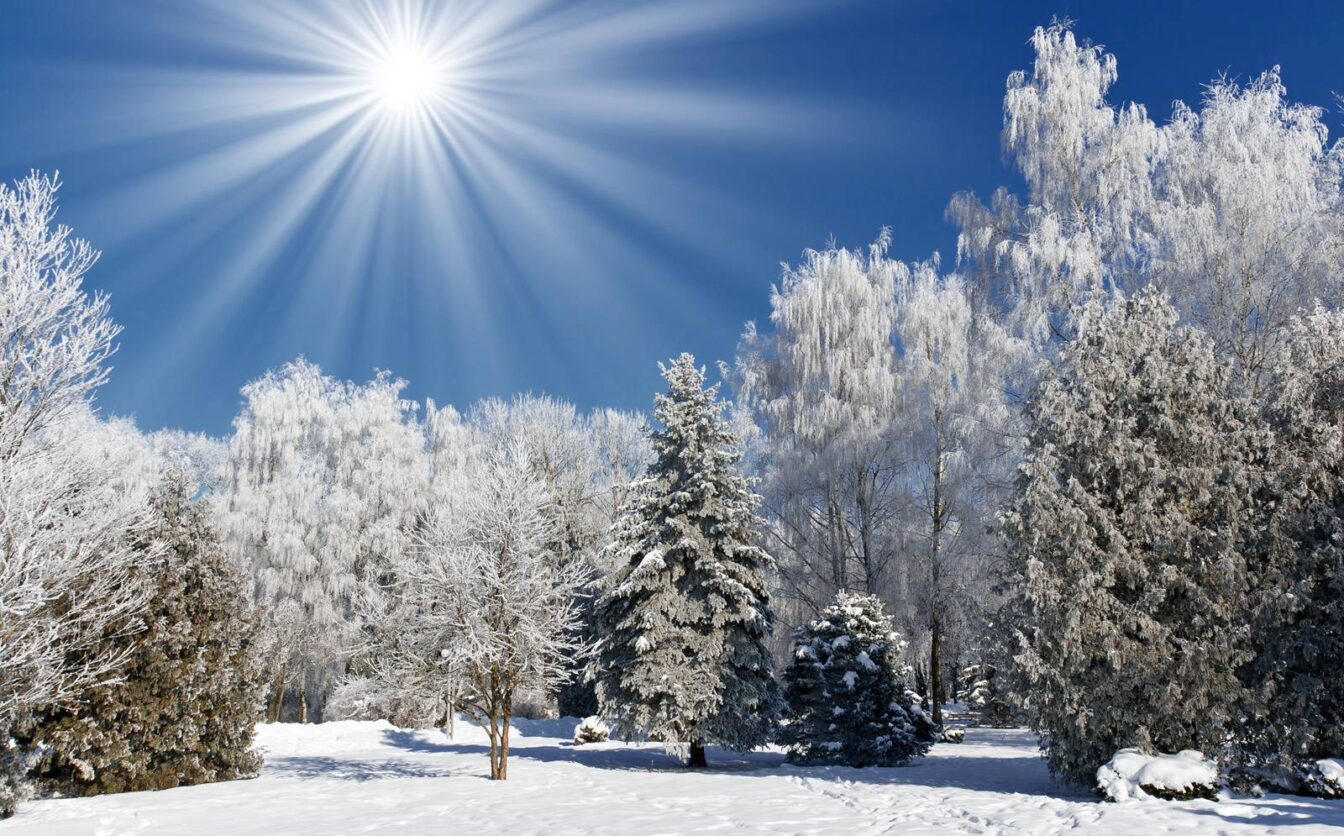 Якою буде погода на Вінниччині 13 січня