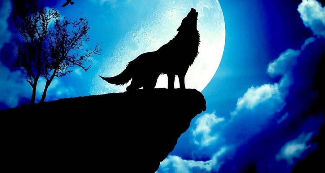 Повня Вовка 3 січня 2026 року: доленосні зміни та послання для кожного знака зодіаку