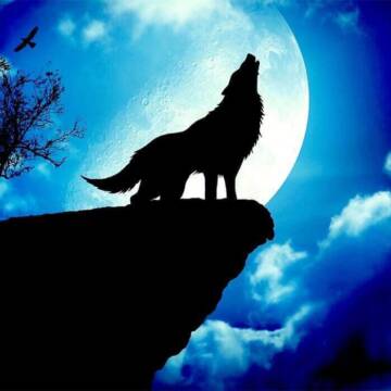 Повня Вовка 3 січня 2026 року: доленосні зміни та послання для кожного знака зодіаку